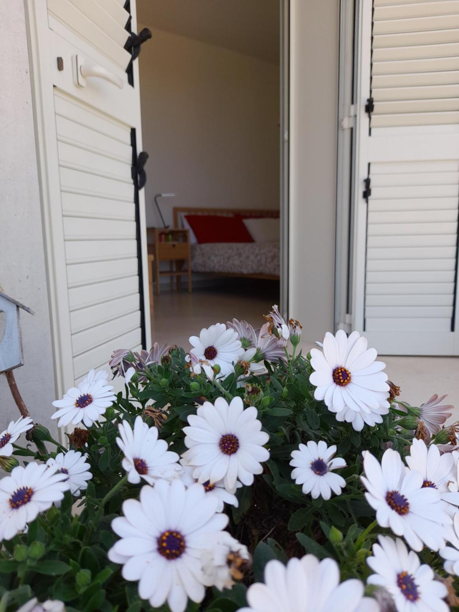 Tenuta Valle Dell Idro Otranto Con Piscina Casamassella Екстер'єр фото