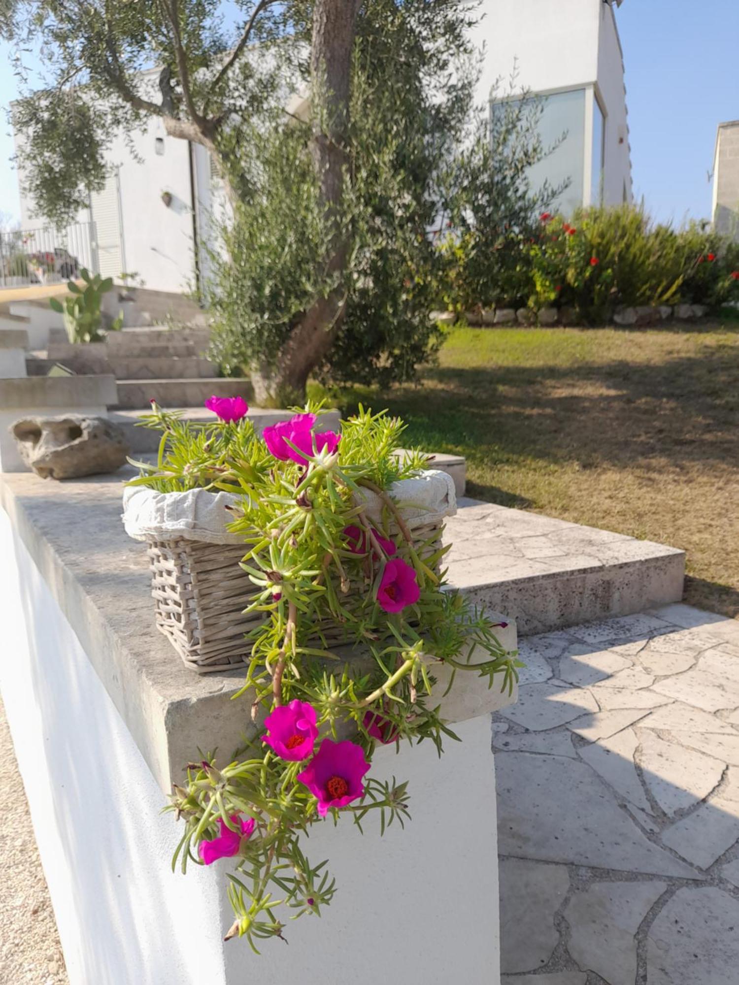 Tenuta Valle Dell Idro Otranto Con Piscina Casamassella Екстер'єр фото